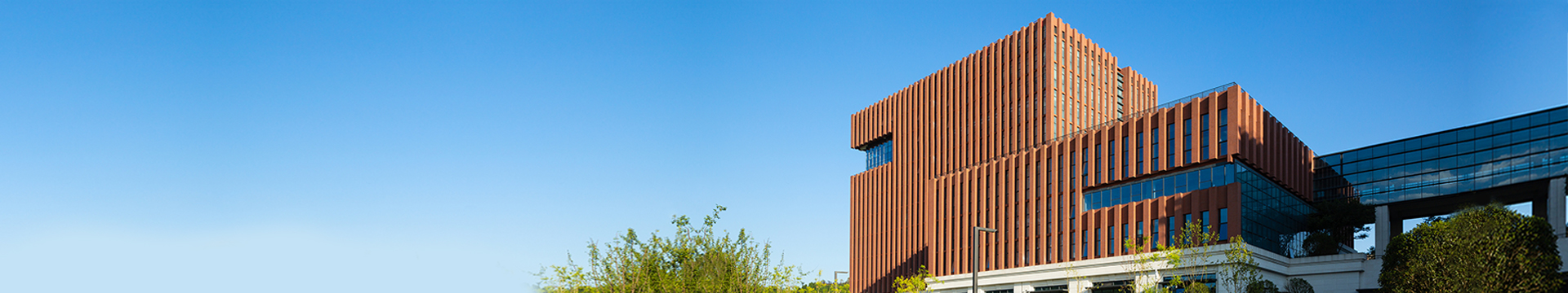 Medium Enterprise Campus