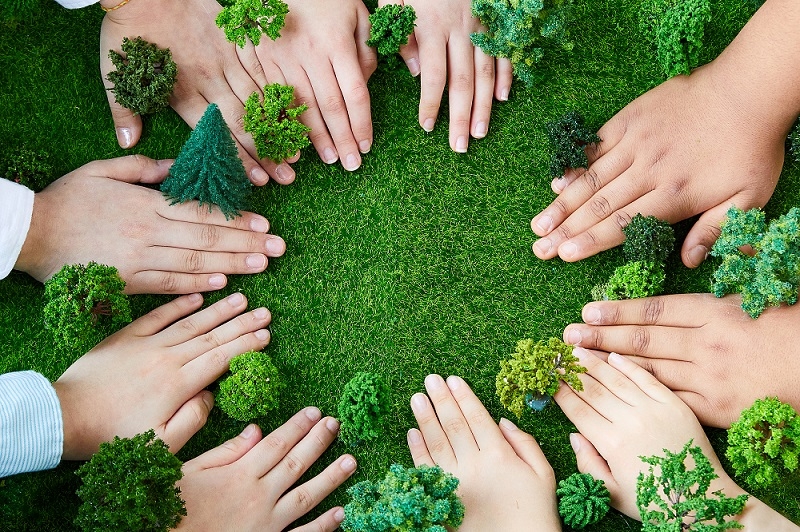 ZTE strengthens environmental commitment with second "ZTE Employee Carbon Neutrality Forest"