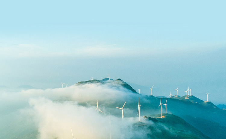 Environmental Protection