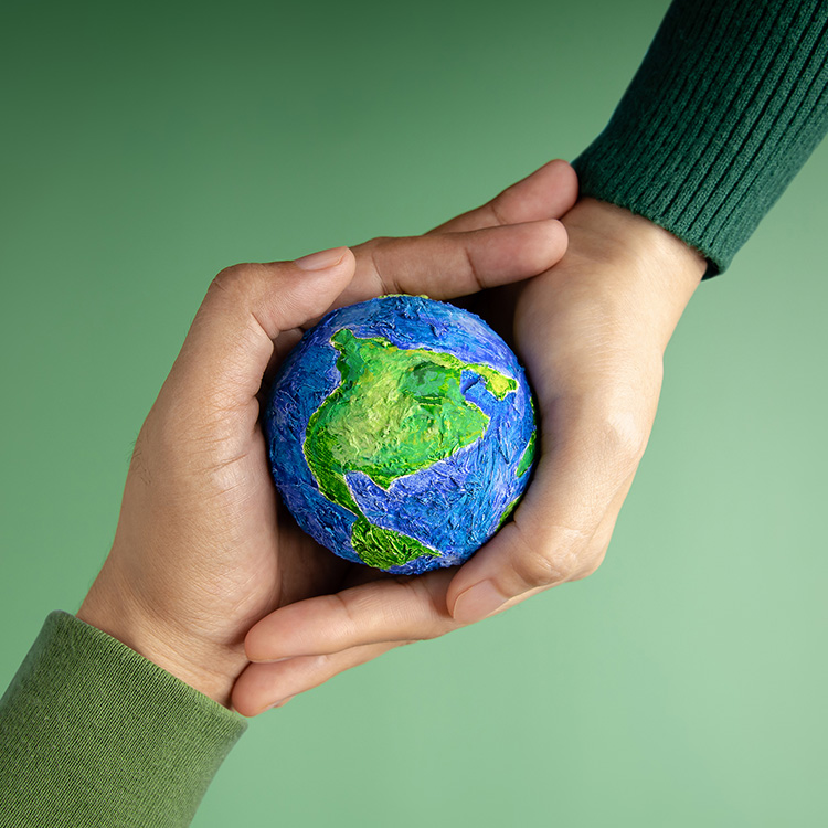 Shaping Digital Innovation for <br/> a Sustainable Future