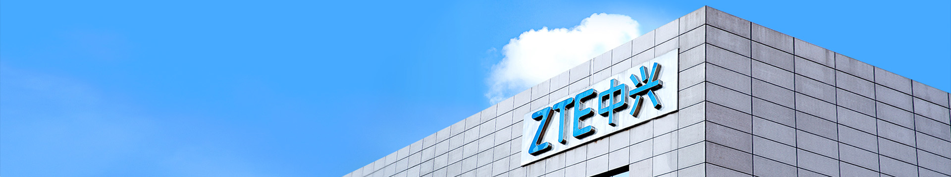 Corporate Governance